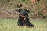 BEAUCERON 1013